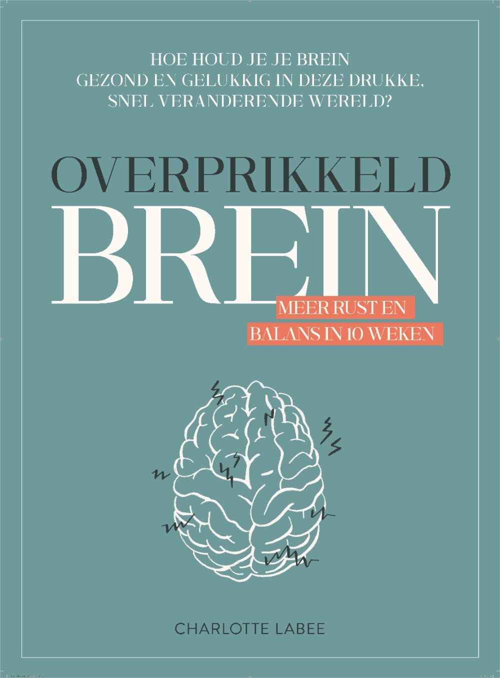 Boek Overprikkeld Brein Charlotte Labee